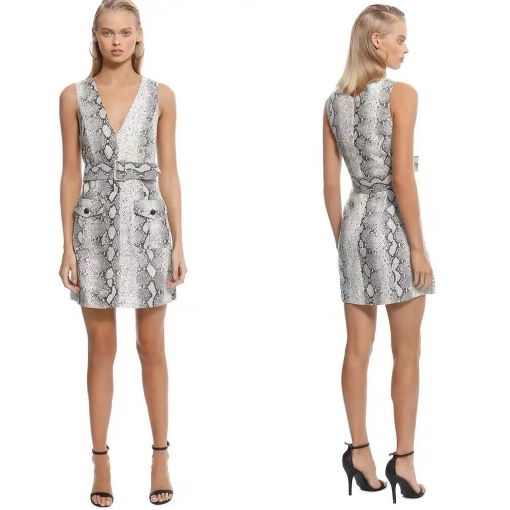 Zimmermann Corsage Python Print Linen Mini Dress - image 3